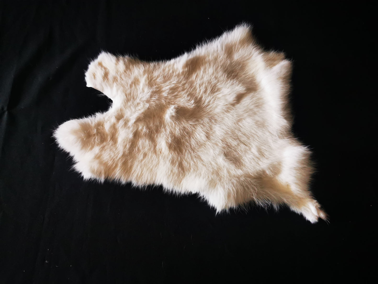 rabbit hide, soft tanned.