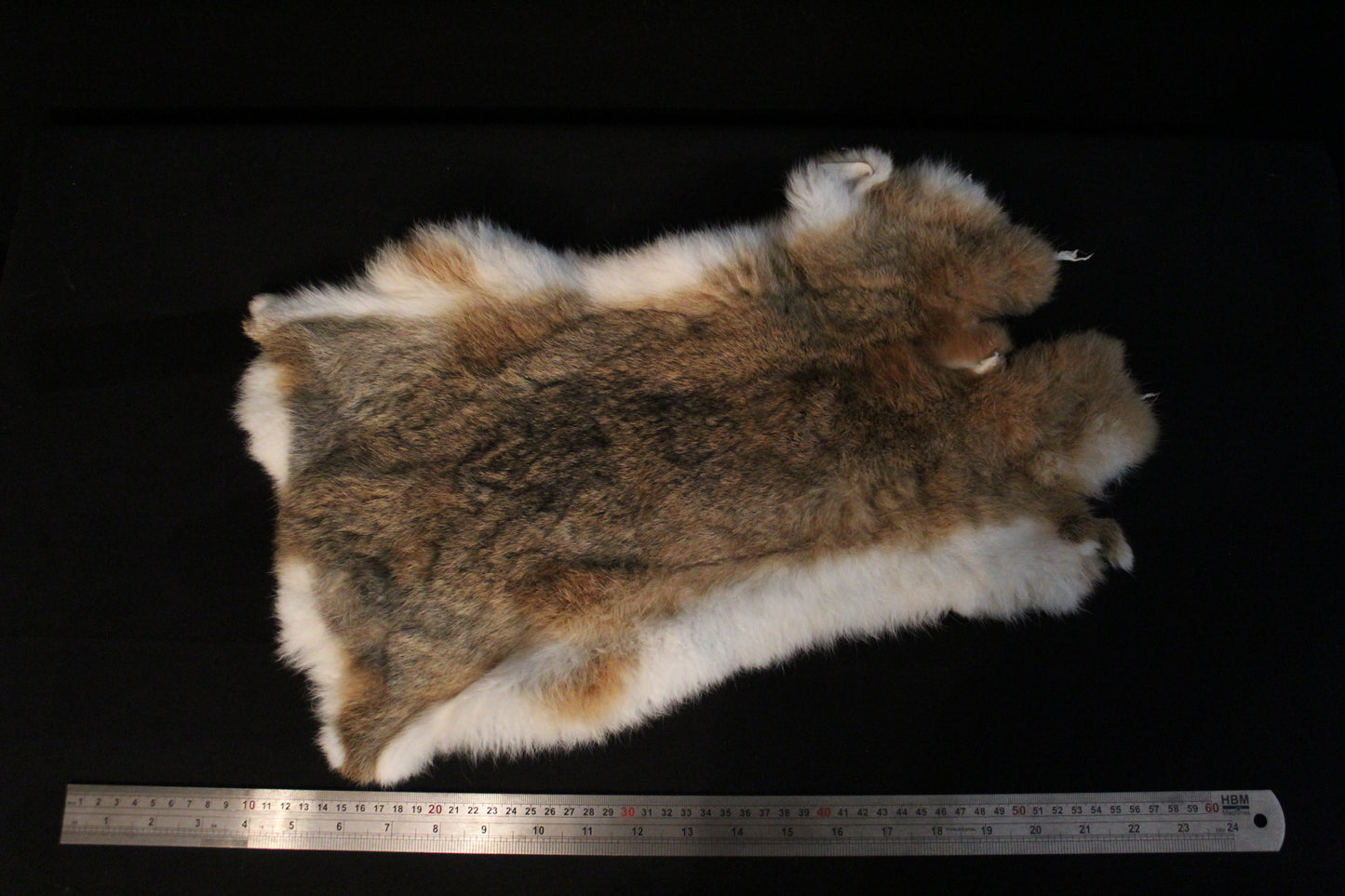 rabbit hide, soft tanned.
