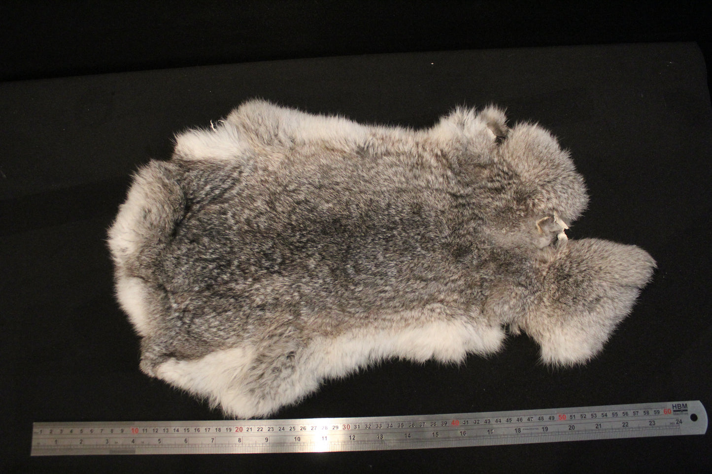 rabbit hide, soft tanned.
