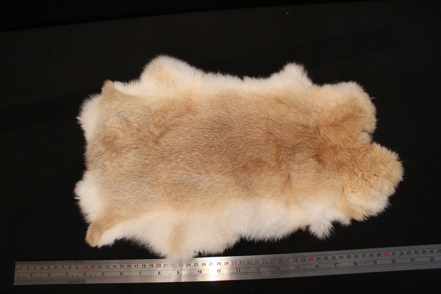 rabbit hide, soft tanned.