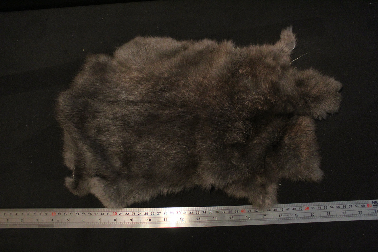 rabbit hide, soft tanned.